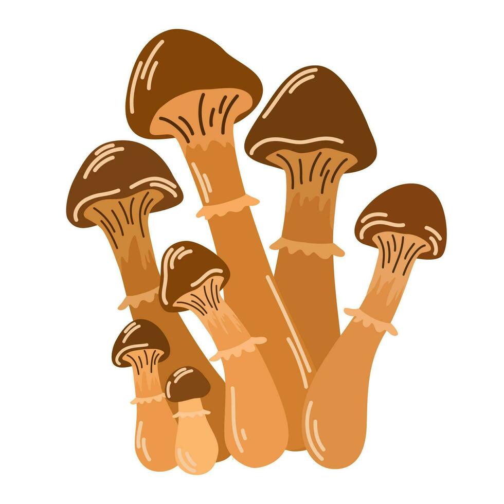 sauvage forêt champignons dans l'automne. en bonne santé biologique nourriture, végétarien nourriture, Frais champignons isolé sur une blanc Contexte. vecteur illustration dessiné à la main, famille de comestible champignons