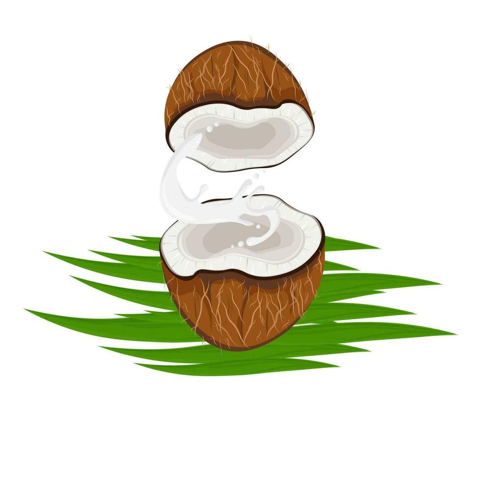 Frais noix de coco Lait illustration logo vecteur