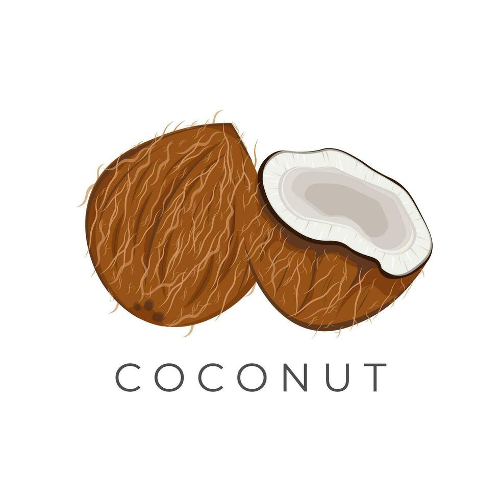 entier et déjà Divisé pelé noix de coco illustration logo vecteur