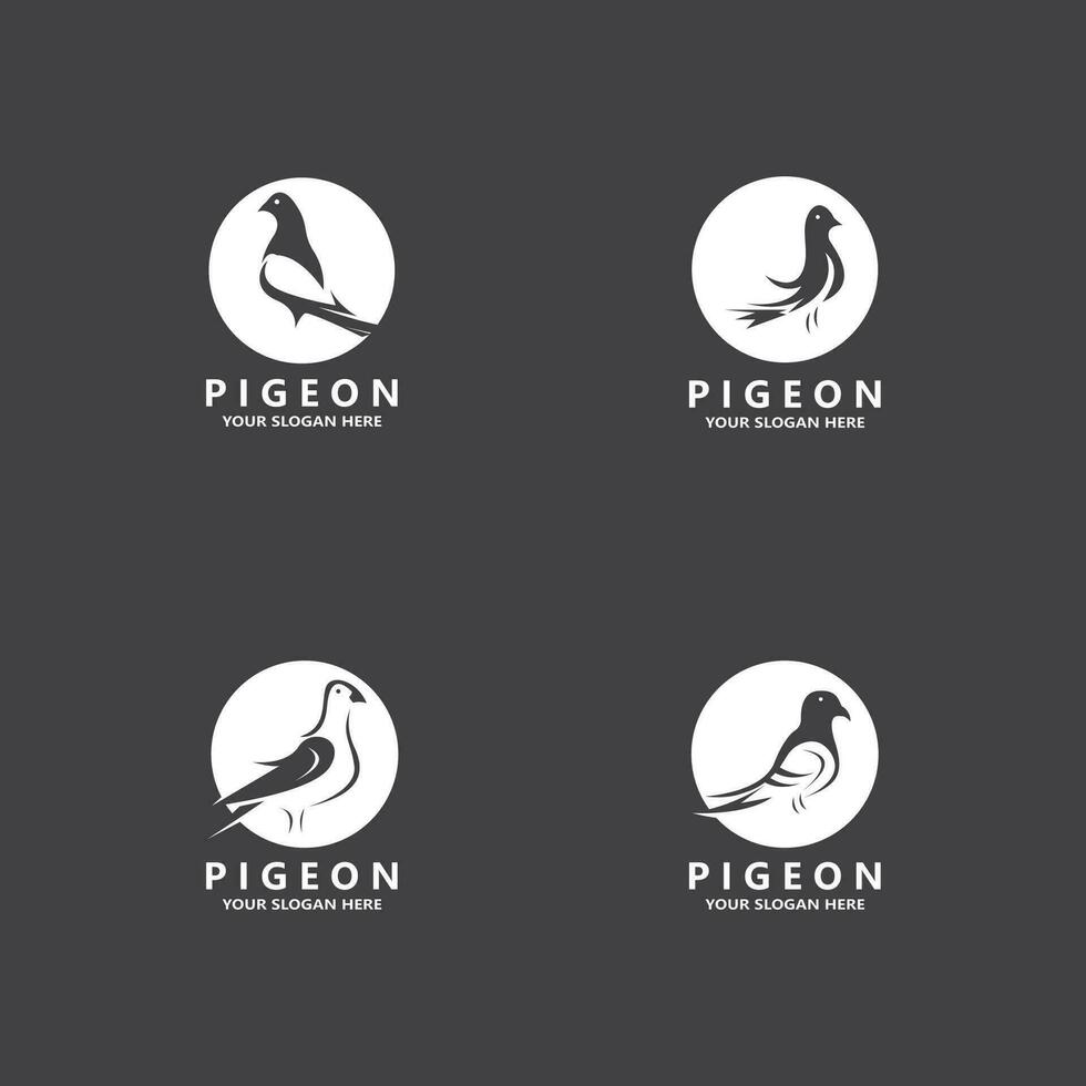 pigeon oiseau logo vecteur icône illustration modèle de conception