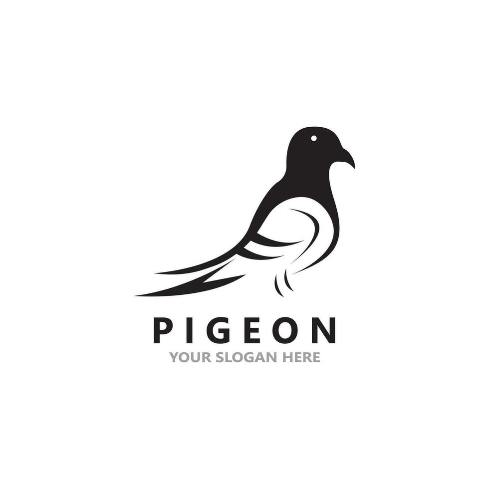 pigeon oiseau logo vecteur icône illustration modèle de conception