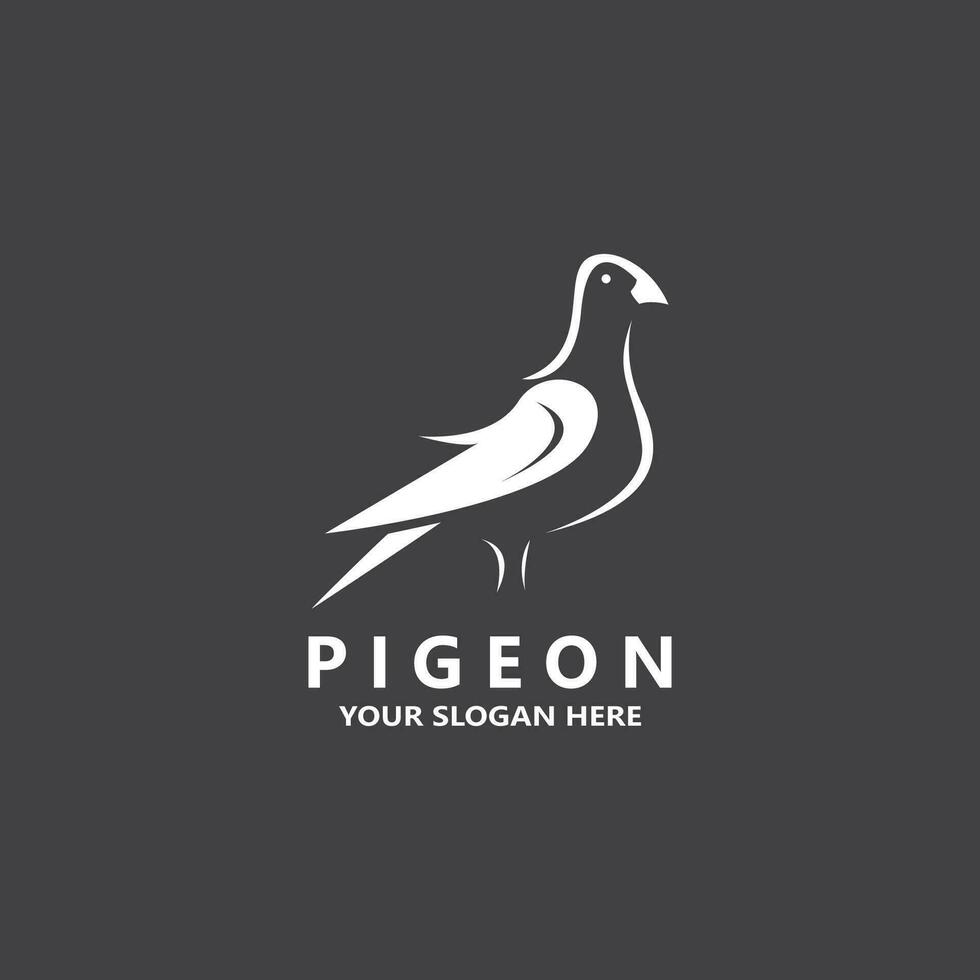 pigeon oiseau logo vecteur icône illustration modèle de conception