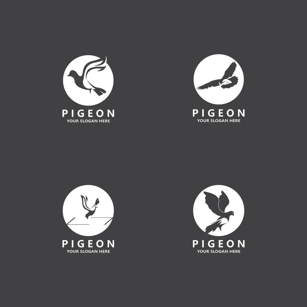 pigeon oiseau logo vecteur icône illustration modèle de conception