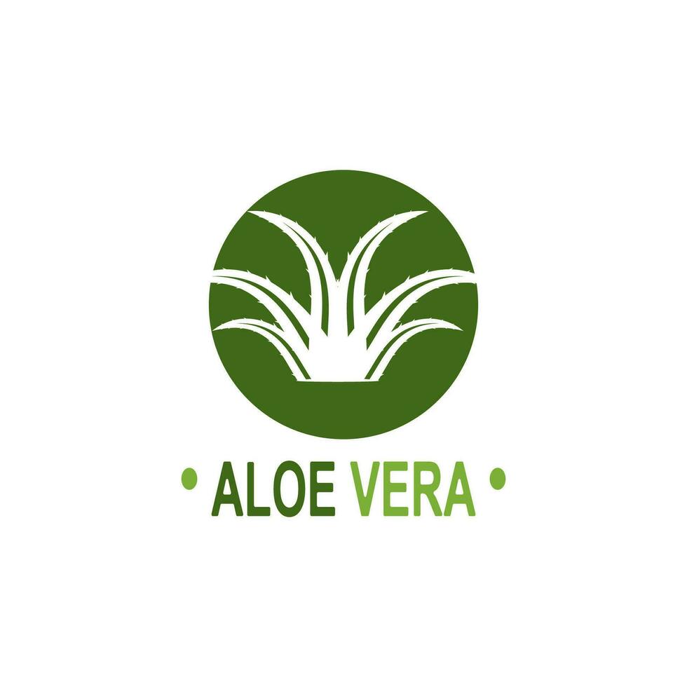 aloès Vera logo illustration modèle conception vecteur