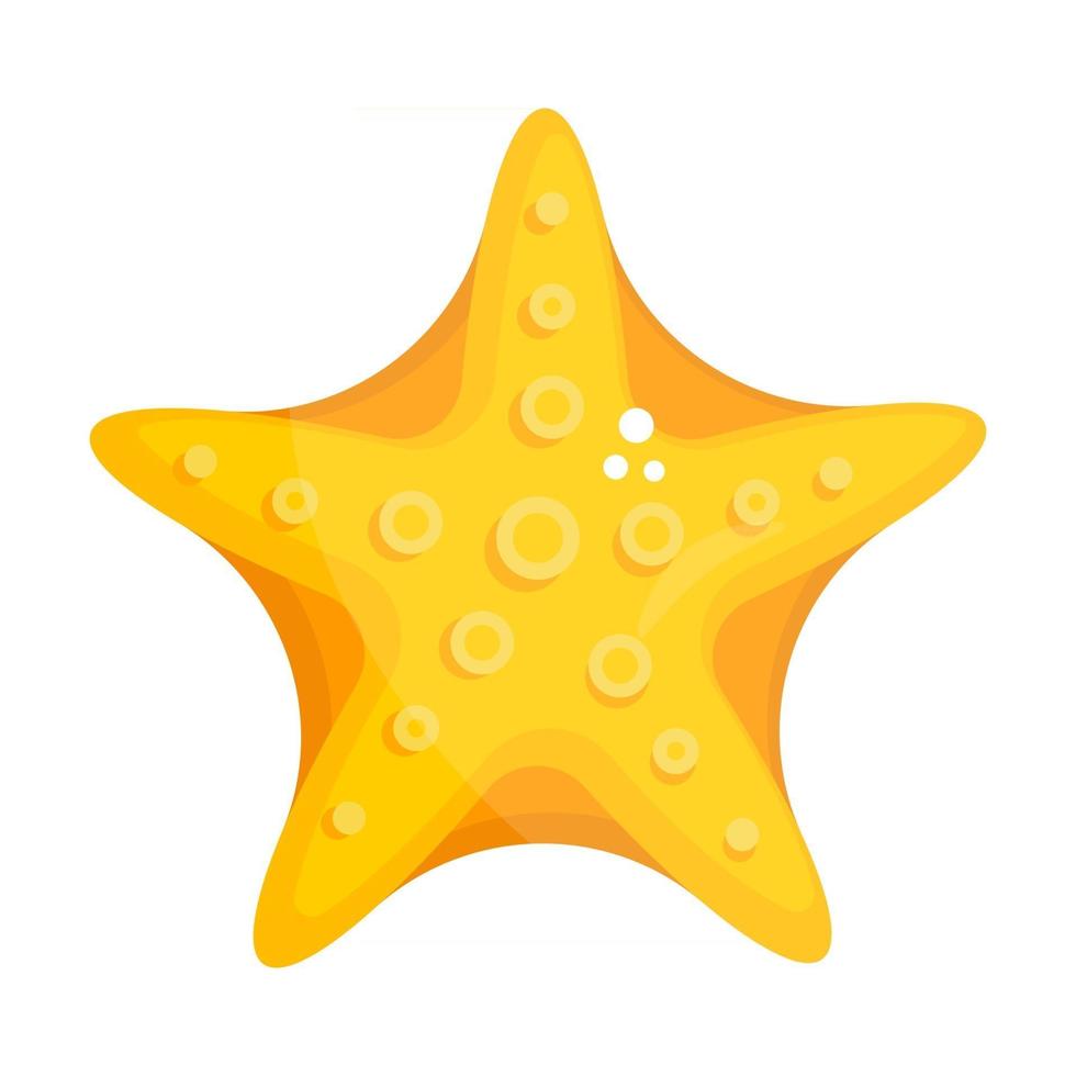 échinodermes en forme d'étoile de mer vecteur