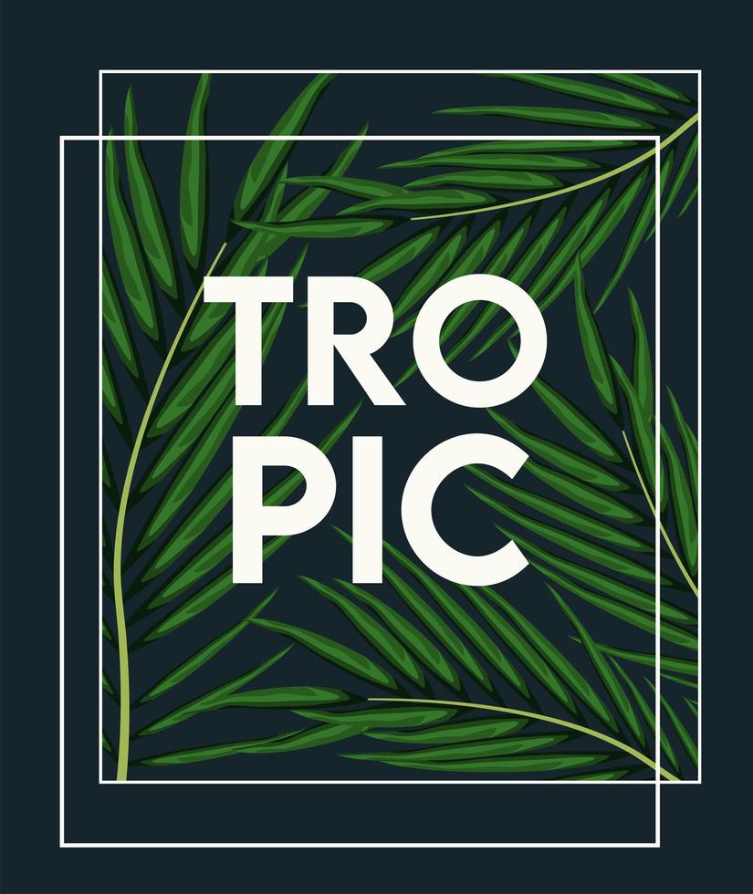 lettrage tropique en affiche avec des feuilles vertes vecteur