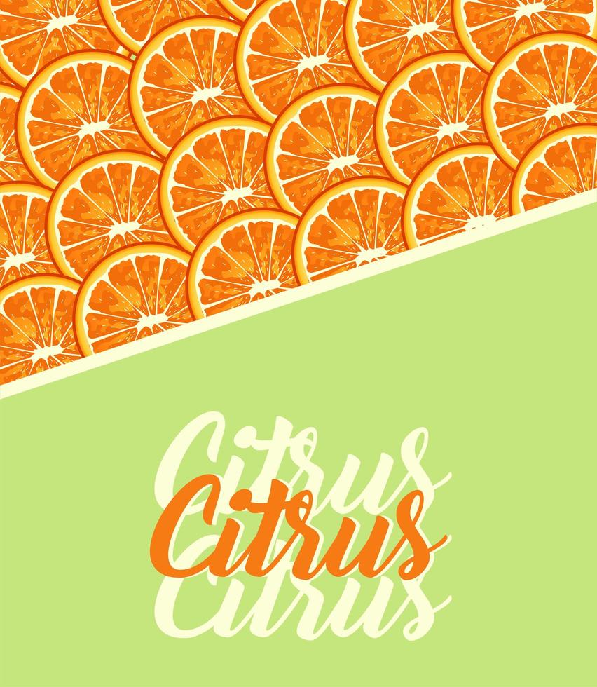 affiche d'agrumes avec lettrage et motif oranges vecteur