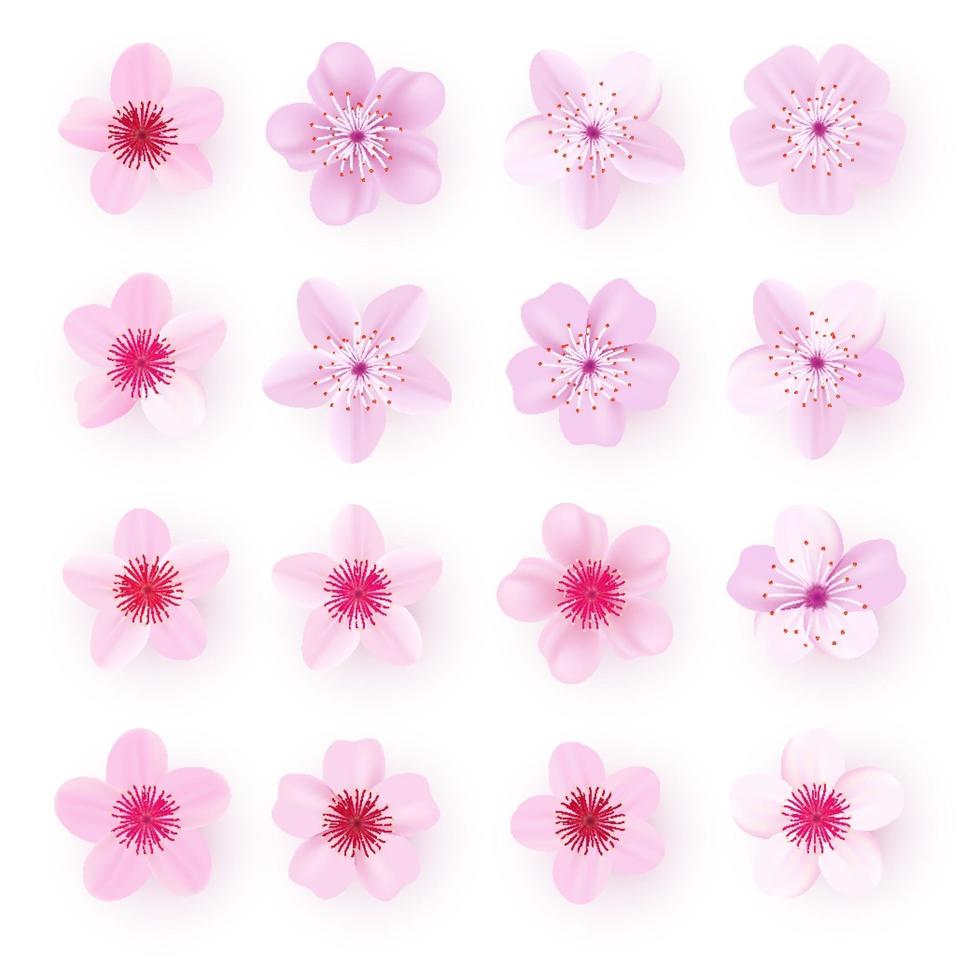 jeu d'icônes réalistes de pétales de sakura rose fleurs de cerisier vecteur