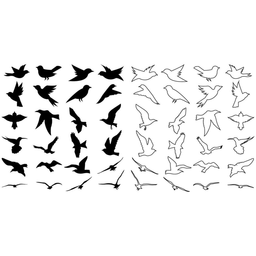 des oiseaux icône vecteur ensemble. animaux illustration signe collection. la nature symbole.