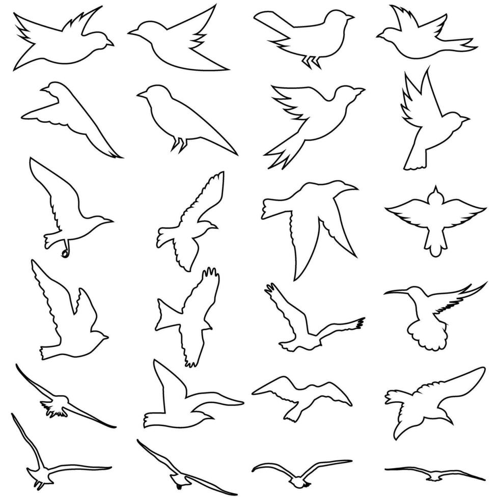 des oiseaux icône vecteur ensemble. animaux illustration signe collection. la nature symbole.