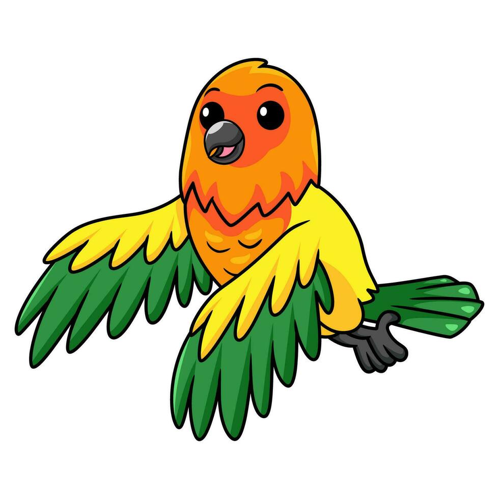 mignonne Soleil conure perroquet dessin animé en volant vecteur