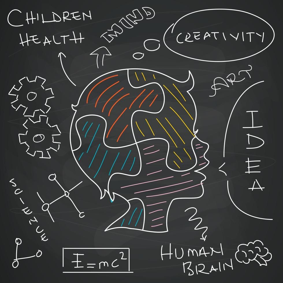 concept d'anatomie du cerveau et de créativité vecteur