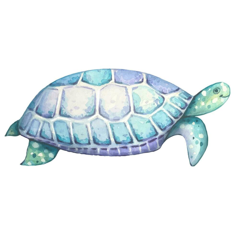 aquarelle tortue. bleu et turquoise couleurs. vecteur