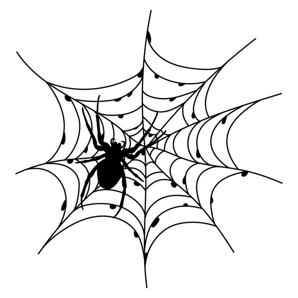 effrayant noir araignée la toile isolé sur blanche. effrayant Halloween décoration. vecteur