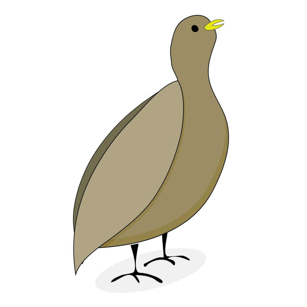 Caille oiseau personnage vecteur. dessin animé animal Caille illustration vecteur