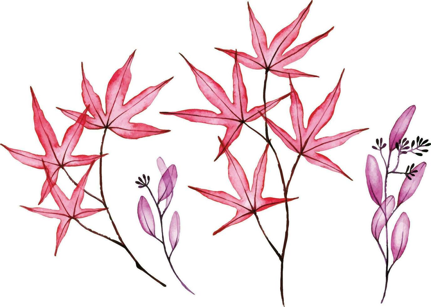 aquarelle dessin. ensemble de transparent l'automne érable et eucalyptus feuilles. rouge et violet feuilles vecteur