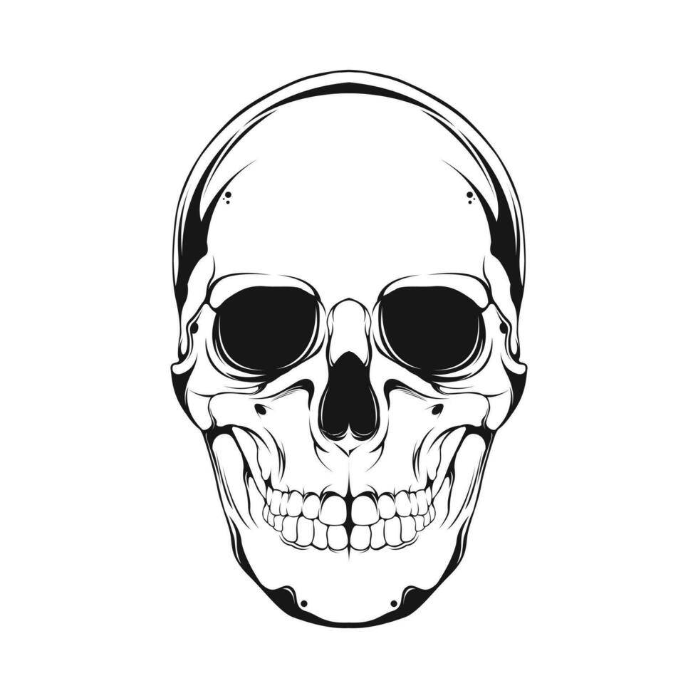 Humain crâne ligne art vecteur illustration