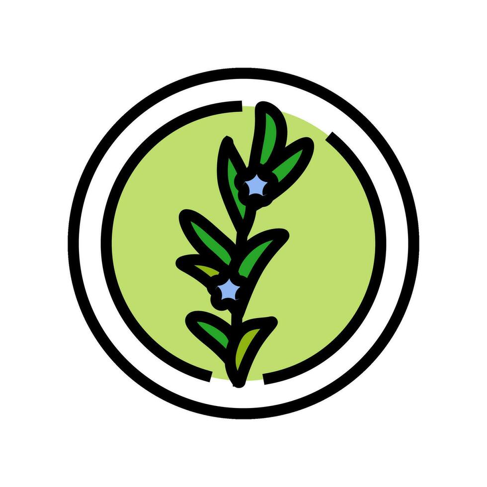 Romarin cosmétique plante Couleur icône vecteur illustration