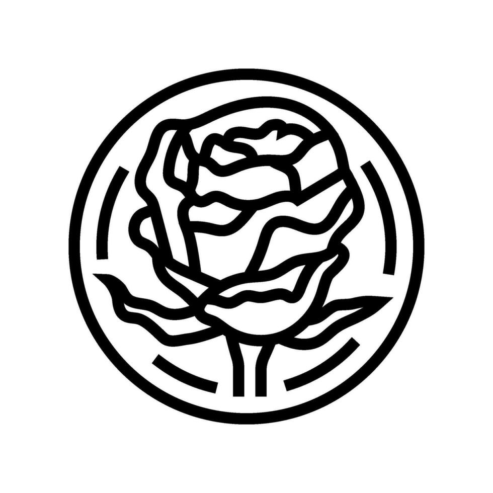 Rose cosmétique plante ligne icône vecteur illustration