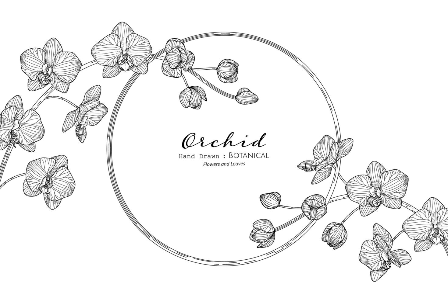 fleur d'orchidée et feuille illustration botanique dessinée à la main avec dessin au trait vecteur