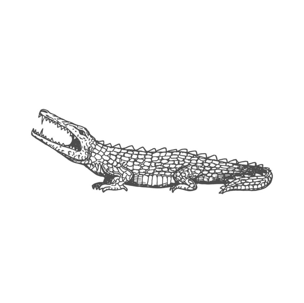 crocodile ancien aztèque animal, alligator esquisser vecteur