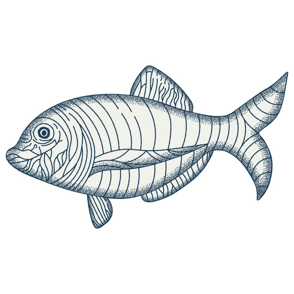 poisson gravure illustration. ancien vecteur illustration