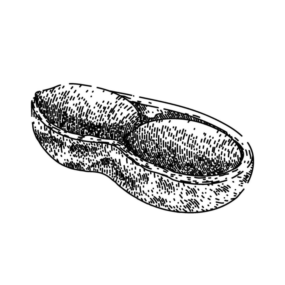 cacahuète écrou nourriture esquisser main tiré vecteur