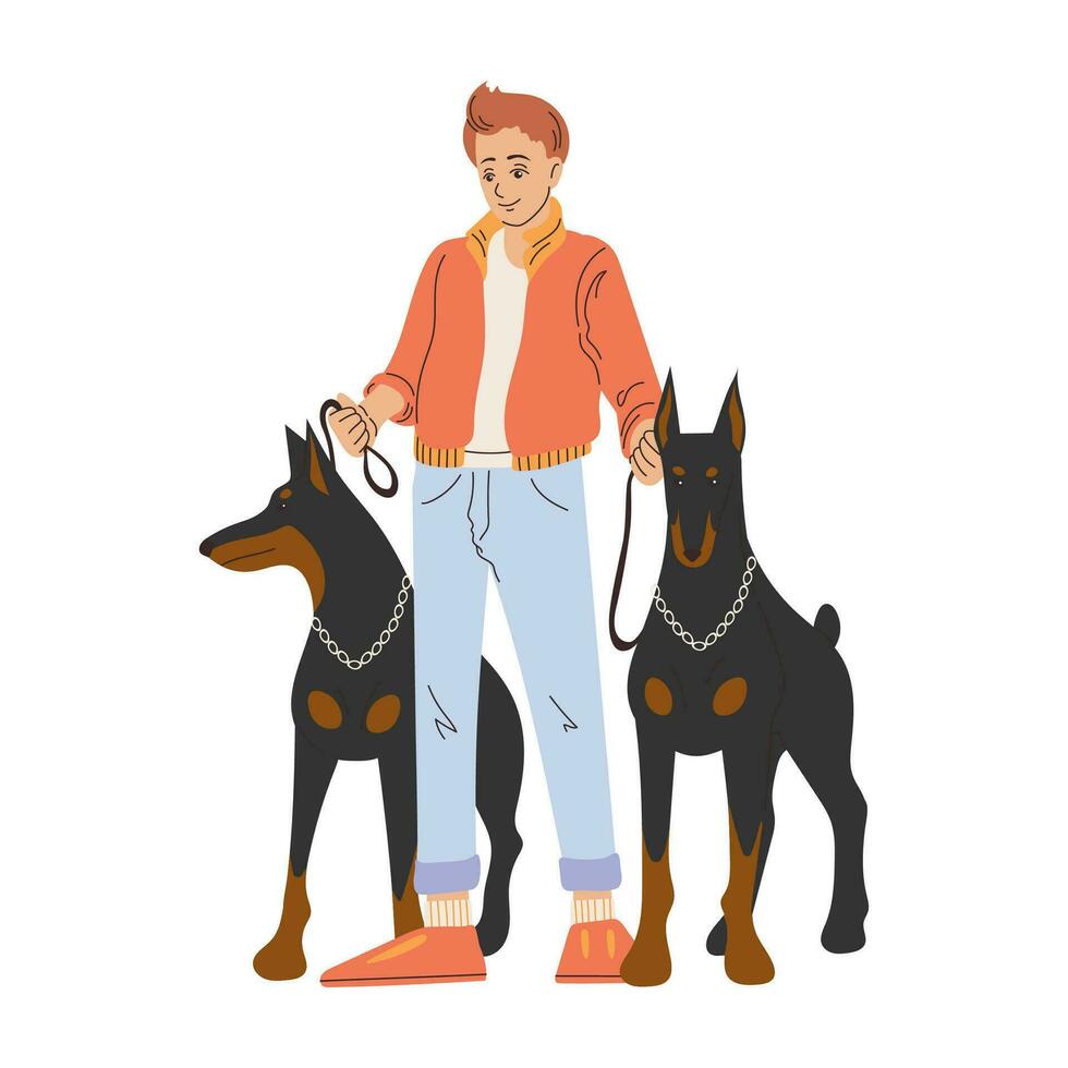 homme avec deux grand chiens sur une laisse. dobermans avec leur propriétaire. dessin animé style. vecteur illustration isolé sur blanche.