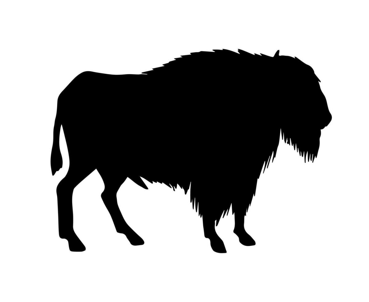 vecteur noir sauvage bison bœuf silhouette