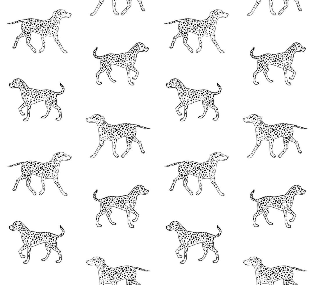 vecteur sans couture modèle de main tiré esquisser dalmatien chien isolé sur blanc Contexte