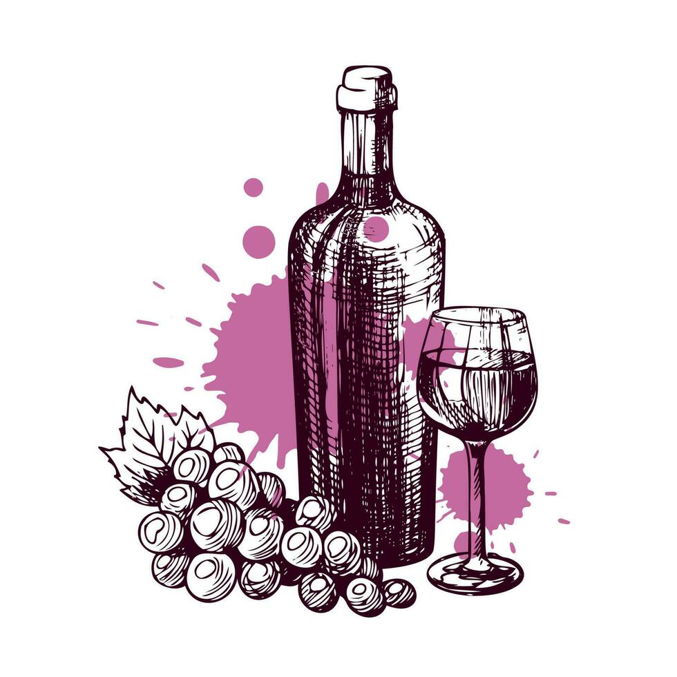 main tiré bouteille de du vin avec une verre et une bouquet de les raisins. esquisser pour le restaurant les boissons menu. vecteur nourriture illustration