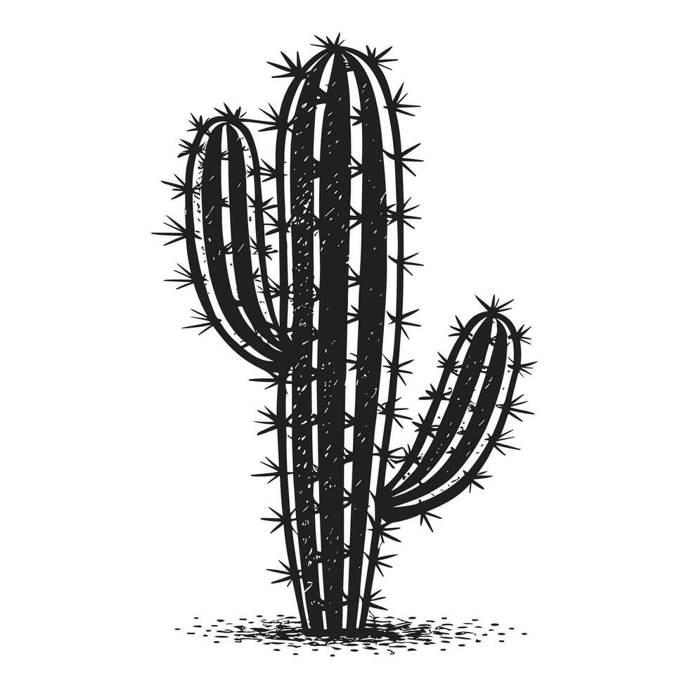 magnifique cactus silhouette vecteur