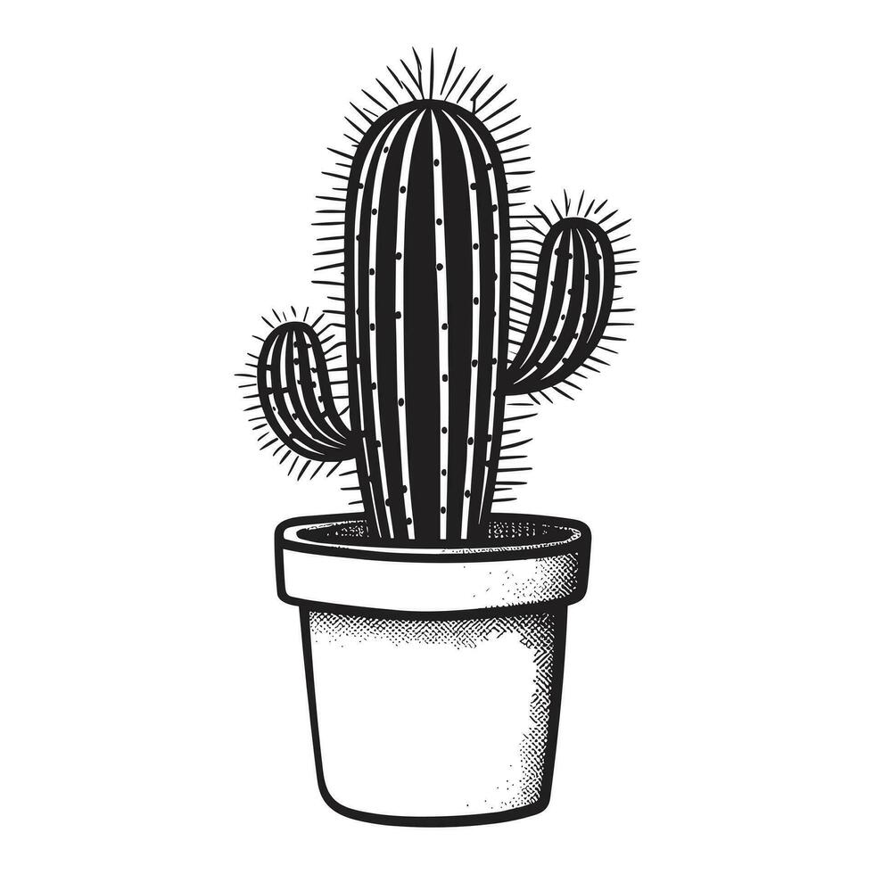 magnifique cactus silhouette vecteur