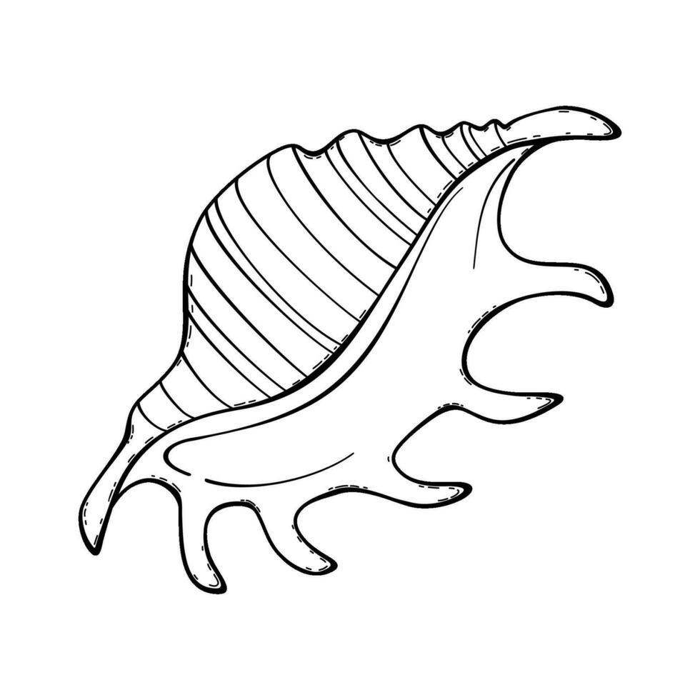 vecteur contour de sous-marin coquillage. sous-marin fruits de mer. main tiré contour esquisser de un océan animal. isolé noir et blanc clipart sur blanc Contexte sur Marin thème.