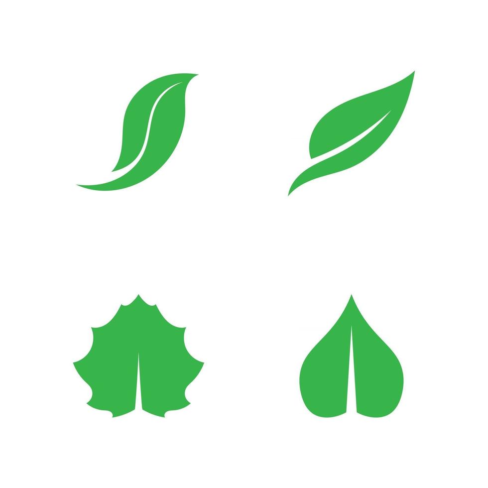 conception de vecteur de feuille darbre logo concept écologique