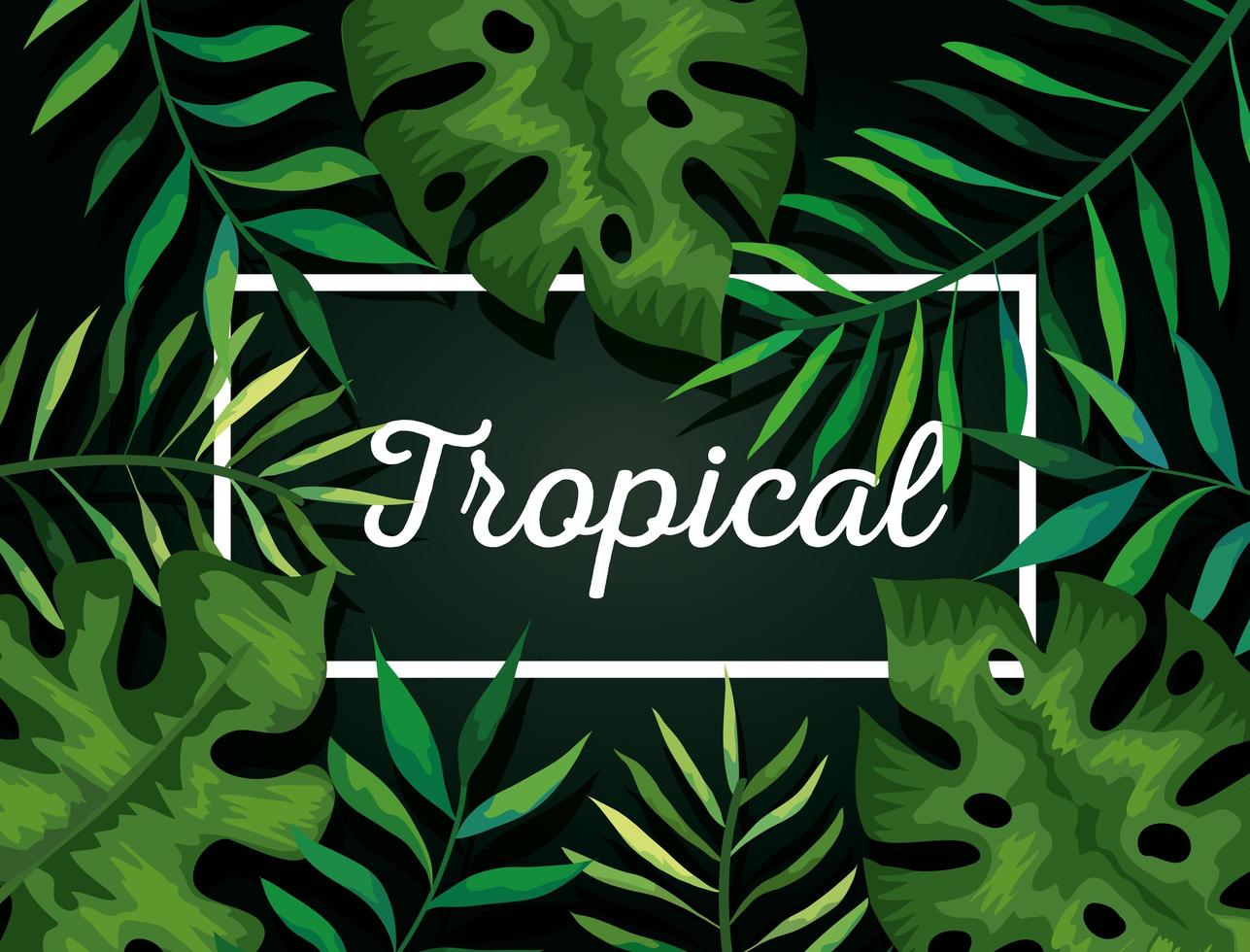 fond de feuilles tropicales naturelles vecteur