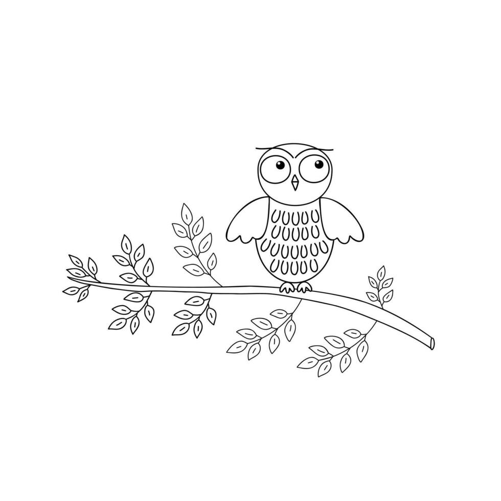 mignonne griffonnage hibou séance sur arbre bifurquer, Facile contour main tiré vecteur noir et blanc forêt oiseau illustration, coloration page pour se détendre et méditation