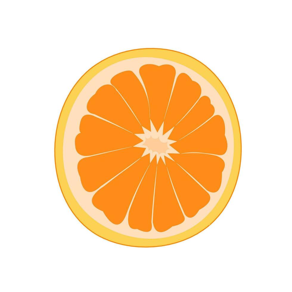 vecteur illustration de une orange. lignes art tropical fruit, griffonnage réaliste