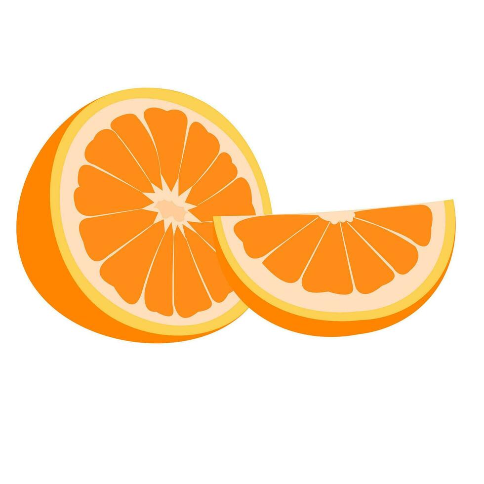 vecteur illustration de une orange. lignes art tropical fruit, griffonnage réaliste