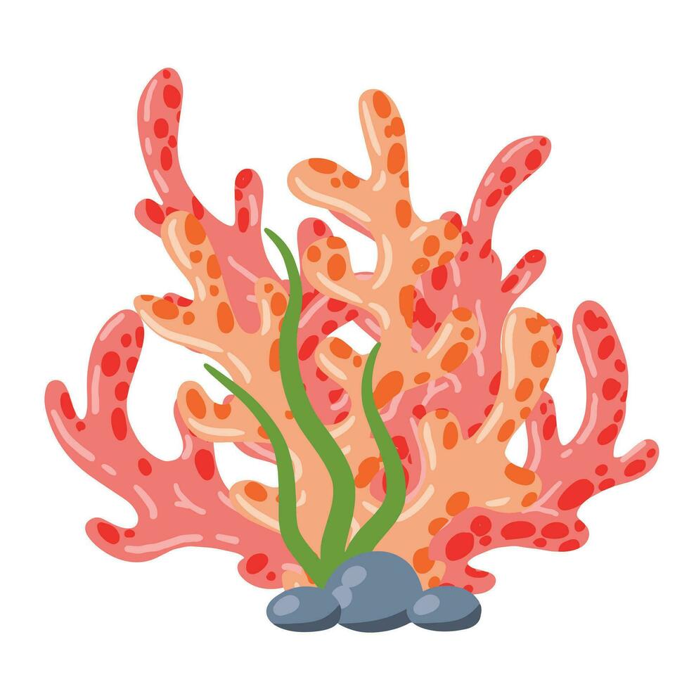 corail récif et algue sous-marin plante. aquarium, océan et sous-marin décoration isolé sur blanc Contexte. Marin tropical l'eau vie. dessin animé vecteur illustration