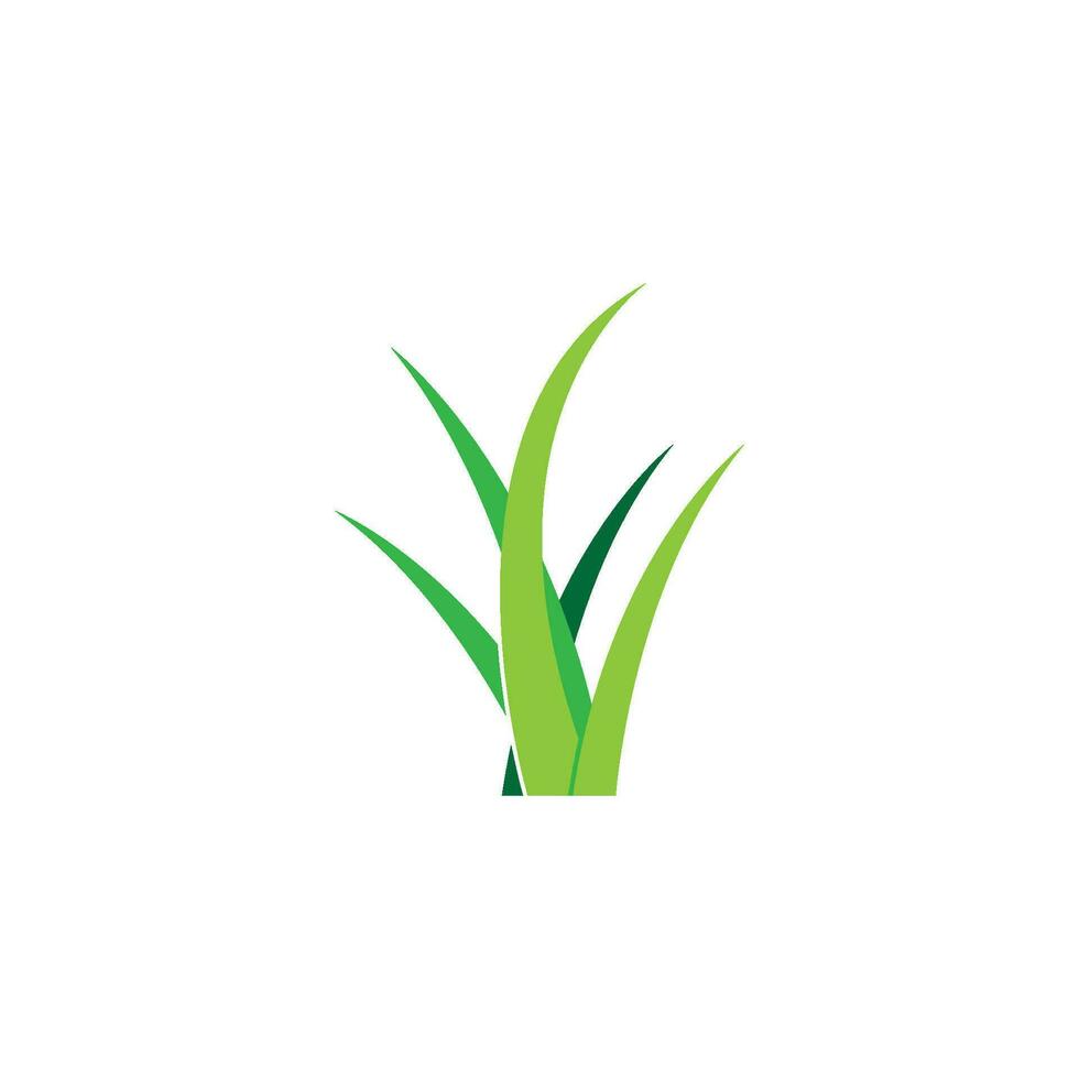 vecteur de logo d'herbe
