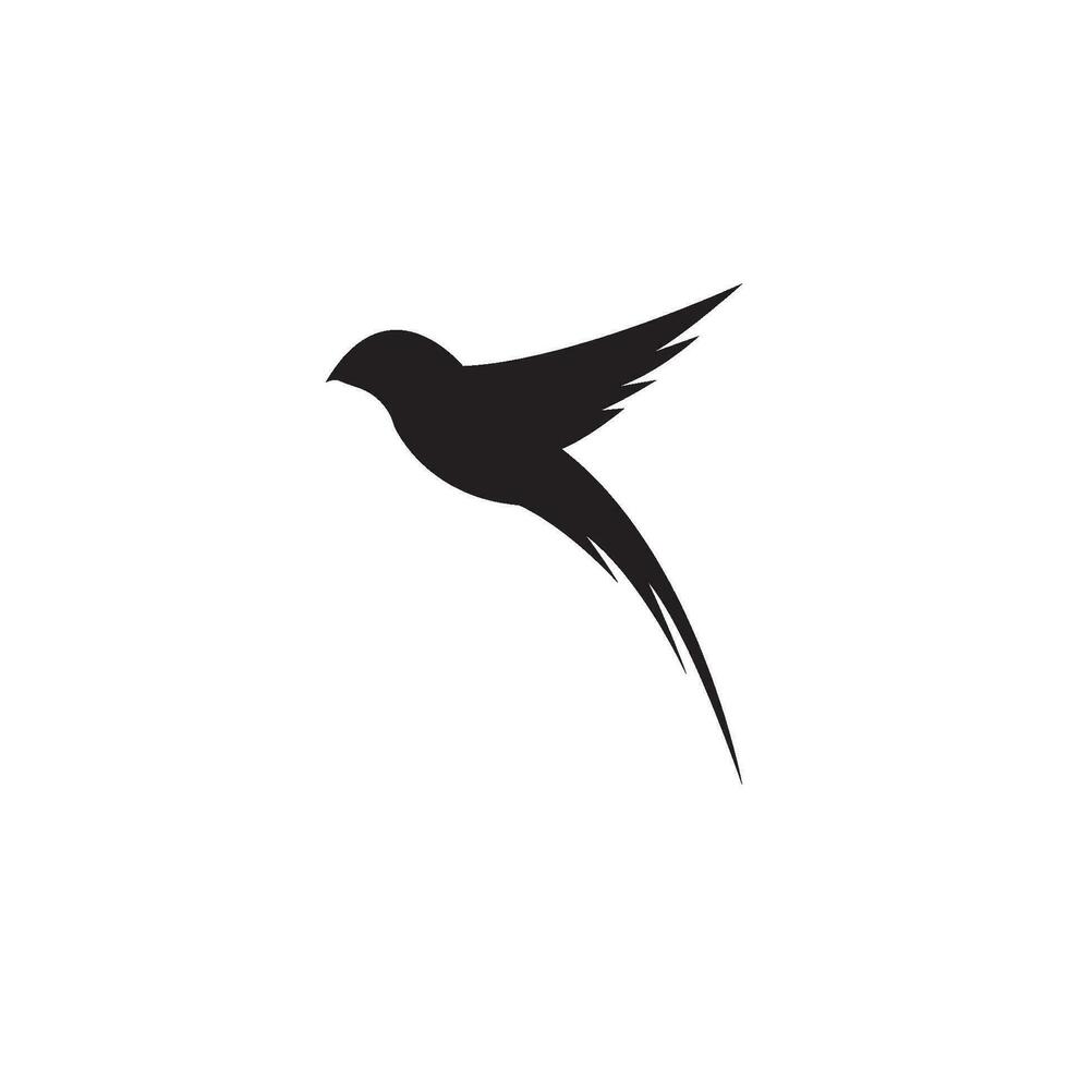 vecteur de modèle de logo oiseau