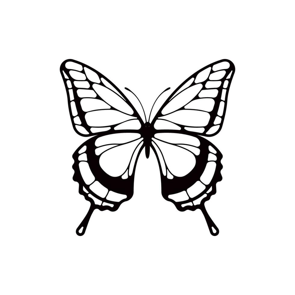 vecteur de papillon isolé sur fond blanc