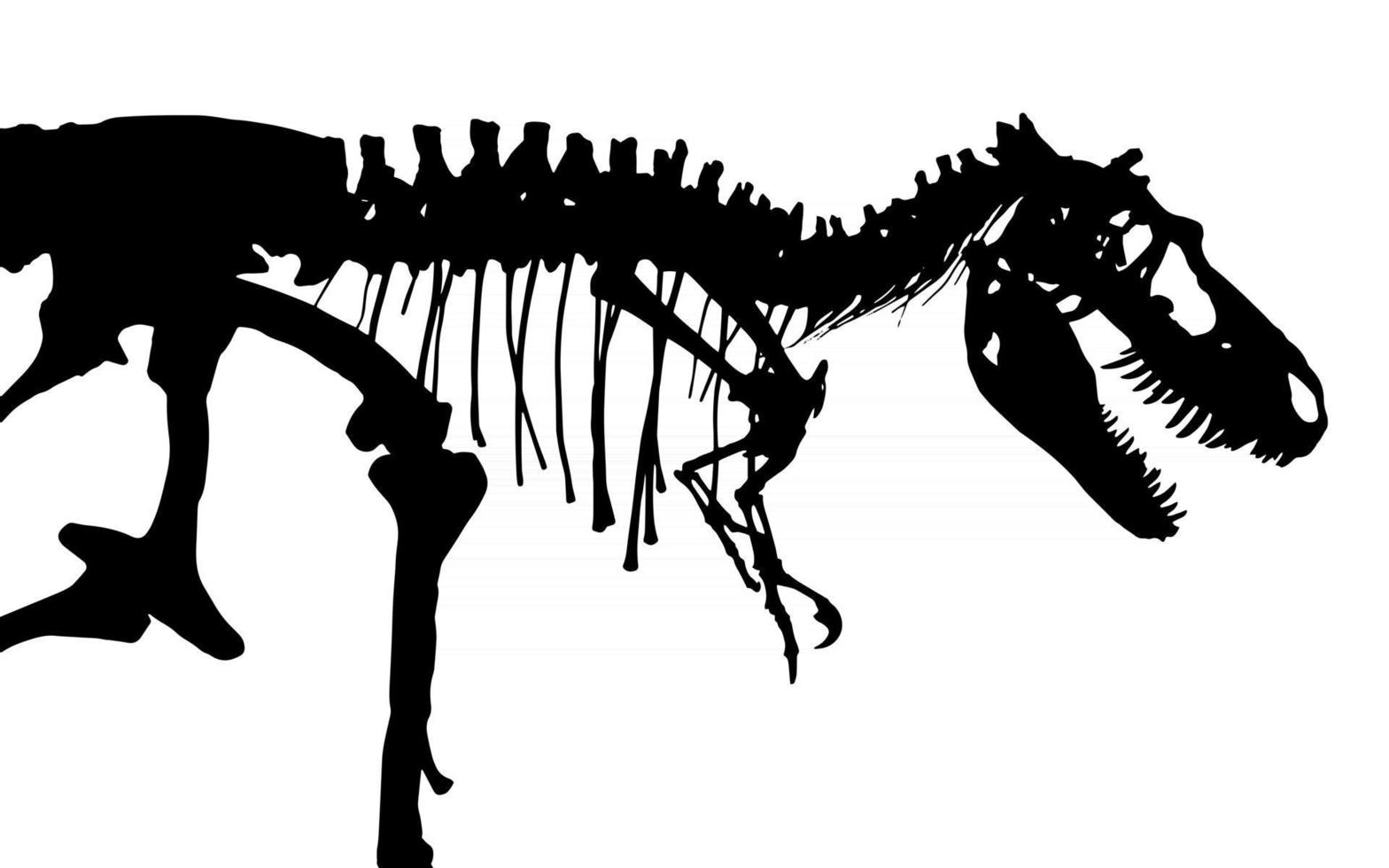 tyrannosaure rex, squelette, silhouette, vecteur, vue côté vecteur