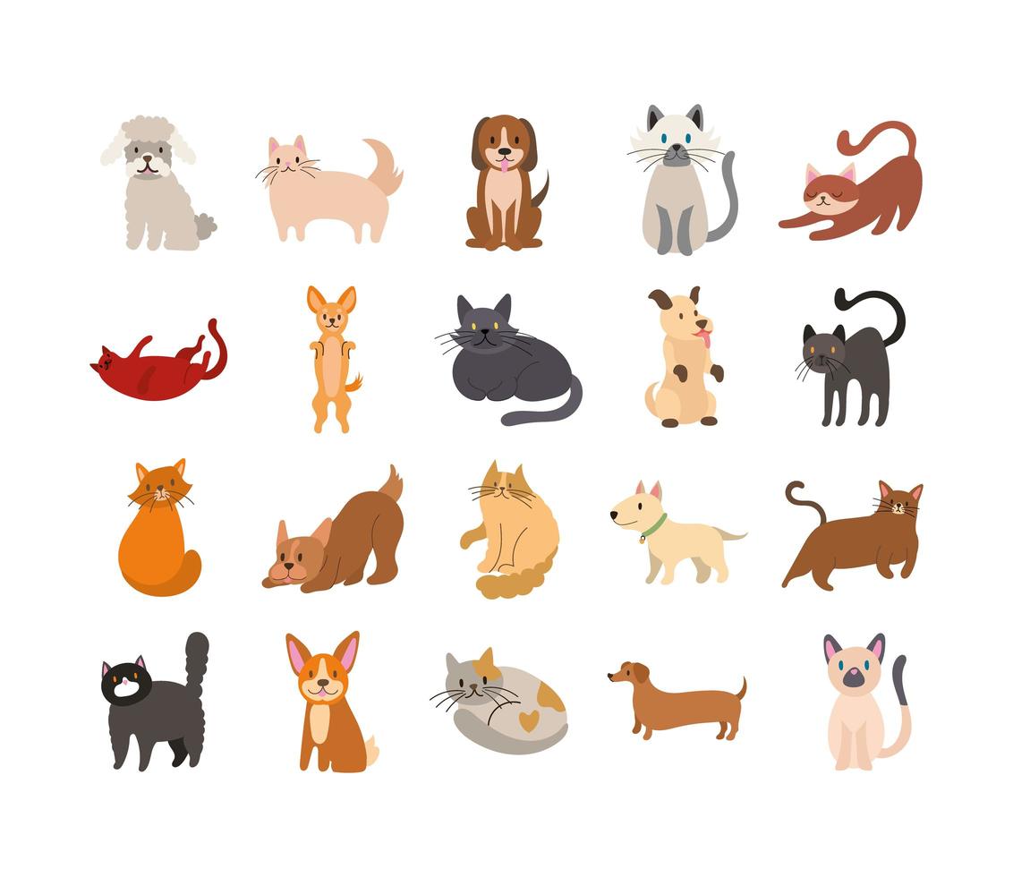 paquet de chats et de chiens définir des icônes vecteur