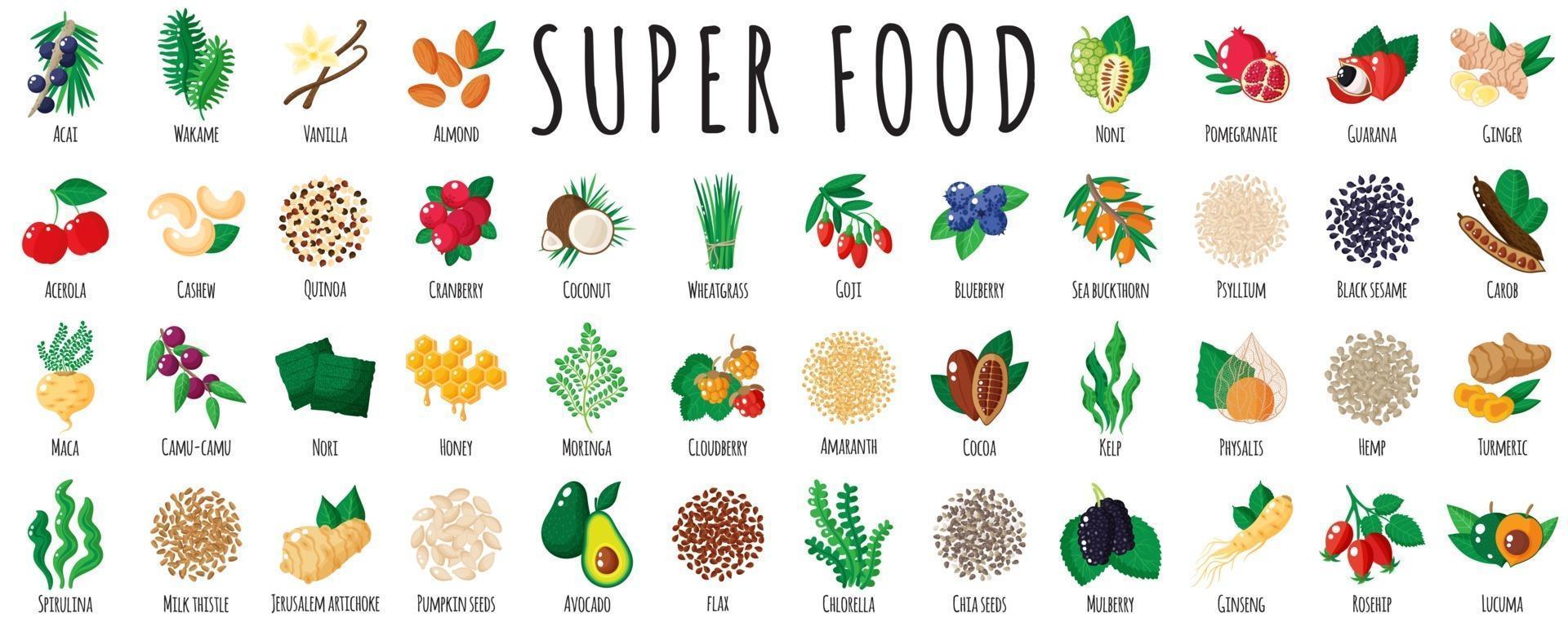 grand ensemble de super aliments sains vecteur