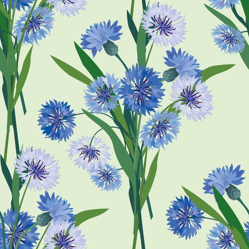 floral modèle sans couture fleur bleuet prairie texture fleurs sauvages été fond ornemental vecteur
