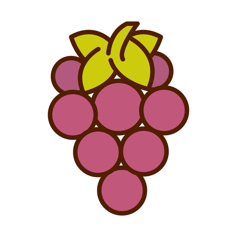 aliments sains produits de fruits frais grappe de raisins ligne et icône de style de remplissage vecteur