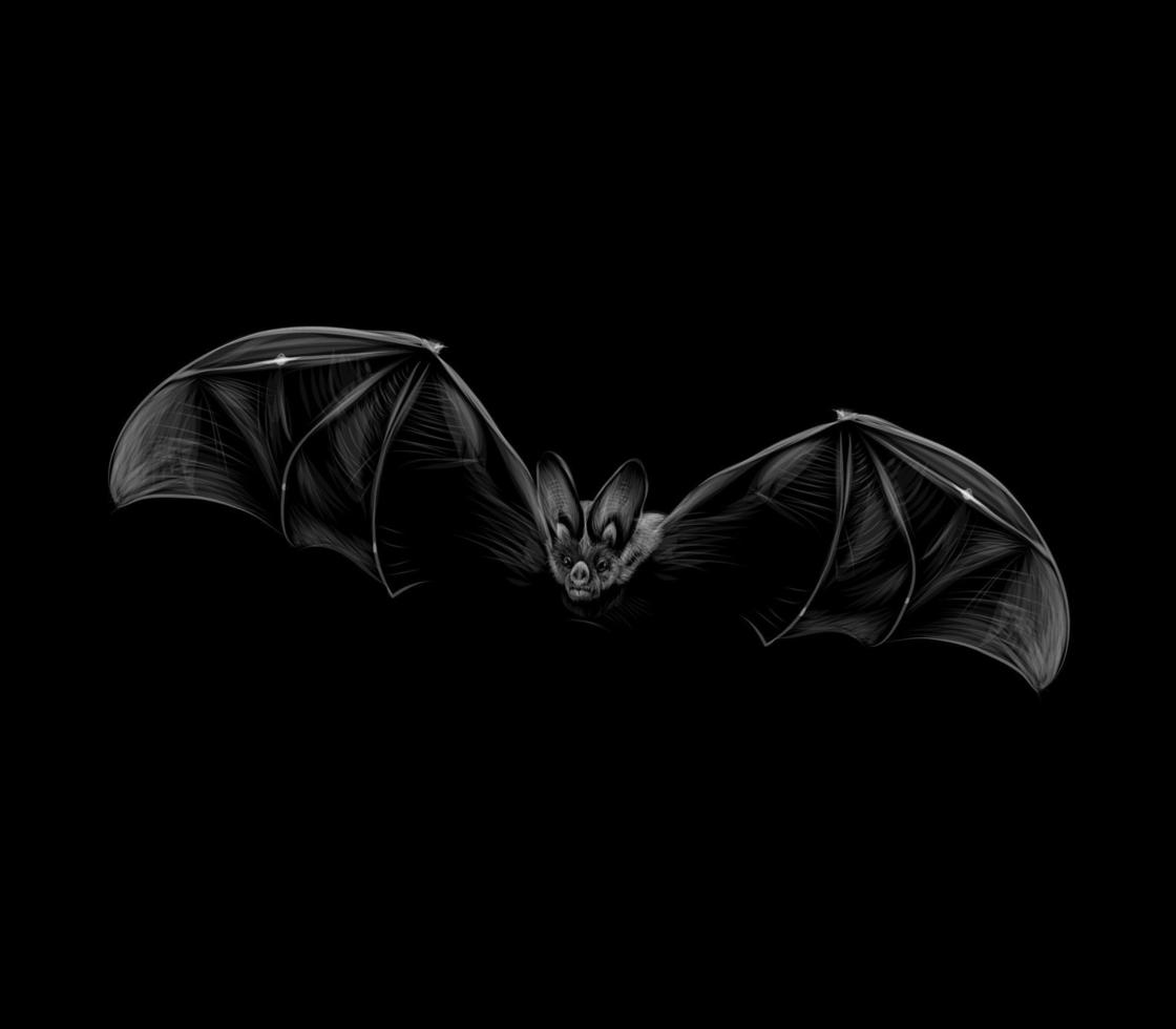 Portrait d'une chauve-souris en vol sur fond noir halloween vector illustration