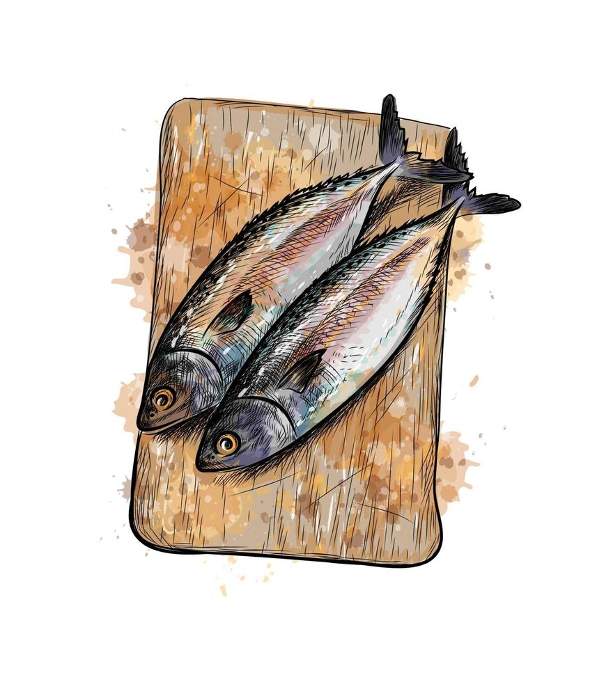 poisson hareng salé sur une planche à découper à partir d'une éclaboussure de croquis dessinés à la main à l'aquarelle illustration vectorielle de peintures vecteur